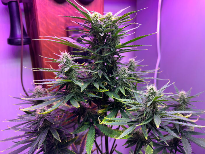 5F17E48D-CE88-4232-A65D-1D10D7CAD9AC