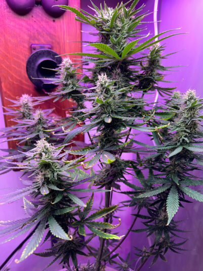 7E546D19-5815-492B-9373-11E6B8A89D22