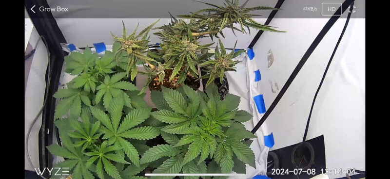 8A9886A9-B0D6-4CAC-81C3-2EB3A0AAEFF6