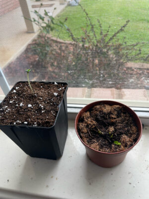 6677B178-25D4-4BB1-B610-ED3A47495983