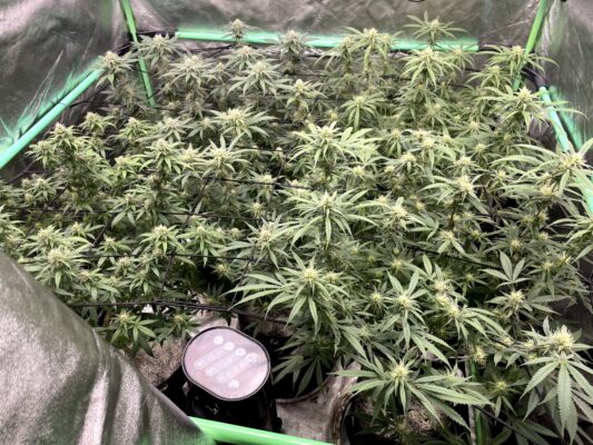 69c202a0-1954-4010-8dfd-7ffd62d3b76d