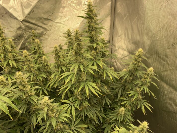 57D7567C-78CE-46A9-8B87-3A0DB94B6B77