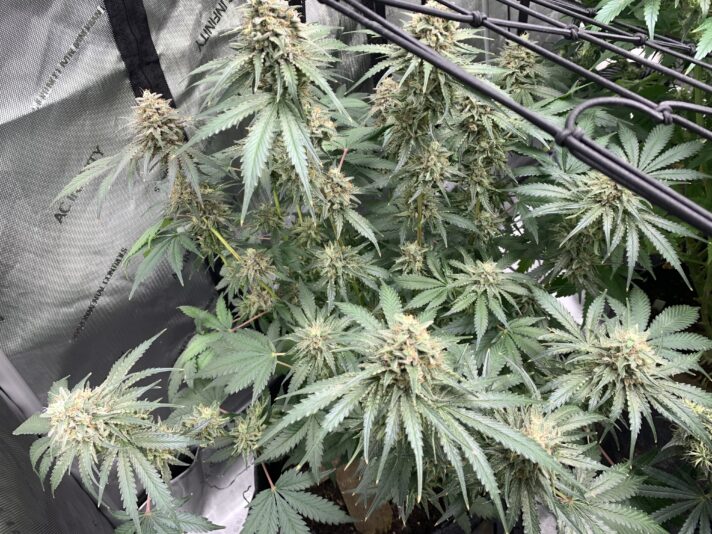 8385BC46-5EA9-4E66-A543-BED08FCCF5D6