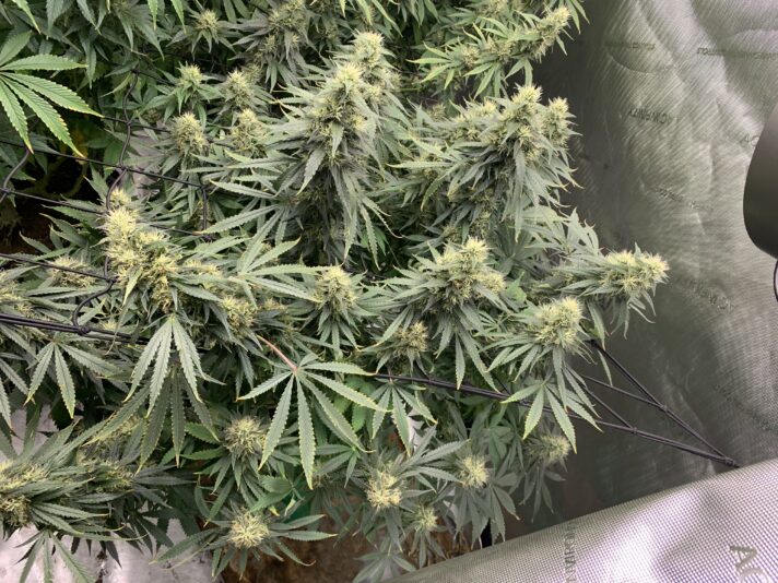 D174B994-6D3E-4147-9583-E66B57002C9C