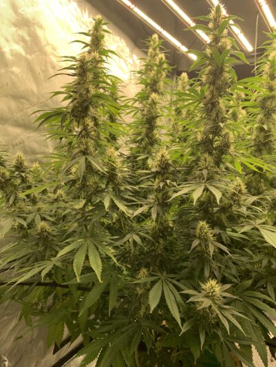 3250E900-45EA-4C06-B2FD-3F0CDA6BB1EF