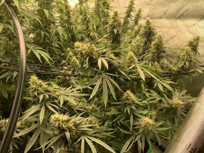 03104E1C-0F16-45D8-A127-1E4CBB4B20A7