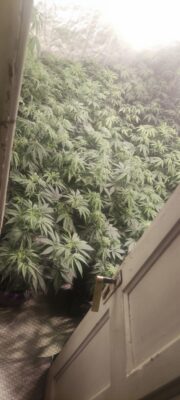 7c6df20a-6612-4e77-9f82-0728e333d8c2