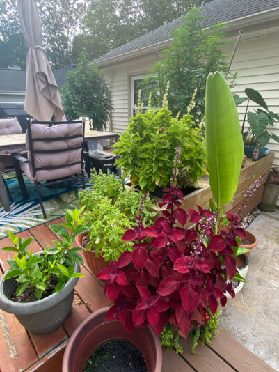 0426B03F-EC76-4EDA-A338-BD5DF7D5E93A