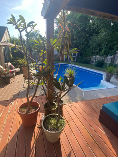 E1D6385A-B27B-4524-8BDA-56D0B24AAEAB