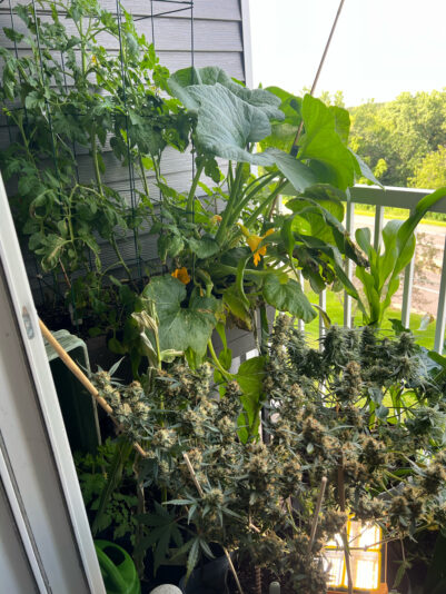 690D69F8-49B0-4070-B4BC-20BC44C6C0B8