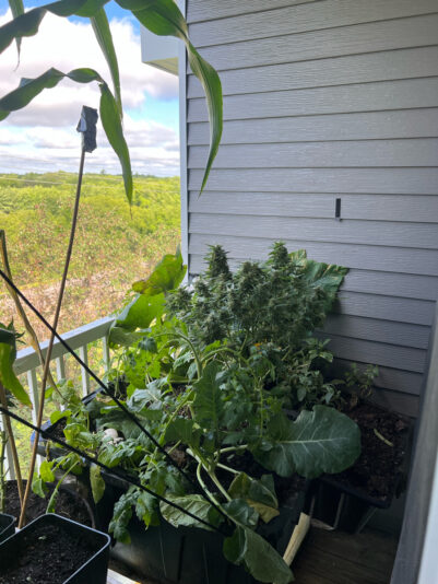 14088BA3-2B4C-48EE-86B4-3D6FE25D780C