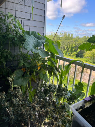 68075A0D-1D73-4A6A-821E-6B8652715596