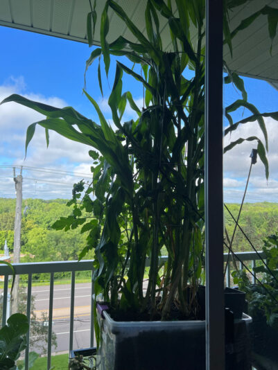 942EB255-52A2-4092-820C-BC7CB809269C