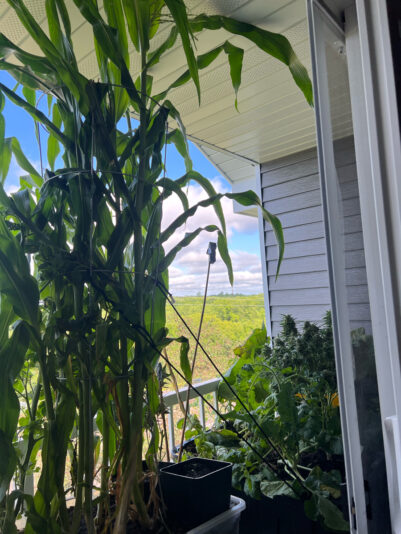 945D1691-83D4-4A40-8E73-13A129F629E8