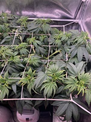 449493571_880269910786291_2817080190040800254_n