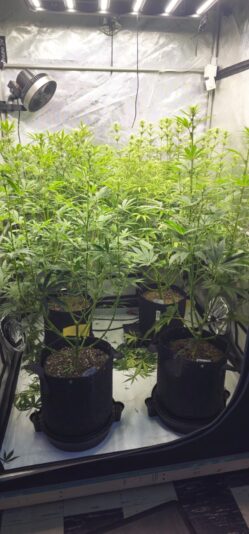 29da7c98-73fa-4f65-80b5-effa0f3e52a9