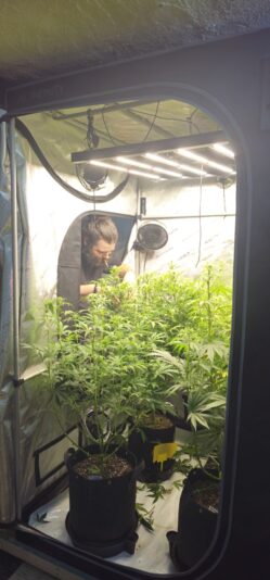 799faad4-d97e-48fe-b31f-4bb79bf50142