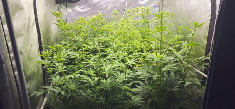 cb6d54c6-96f2-4b68-a5b8-d52405372f82