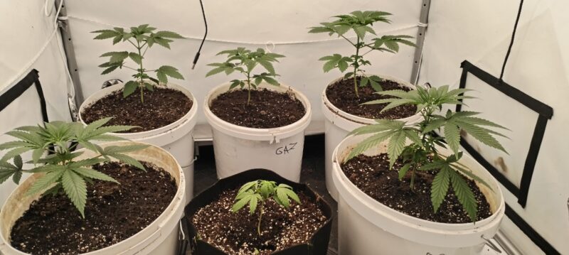 9d355e8f-101d-432c-8a81-ac0f02cd00f0