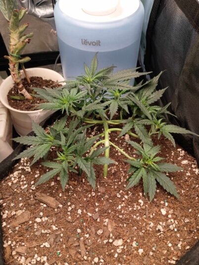 449744496_1287565272209822_4260956799513067760_n