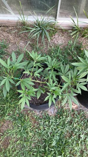 449795111_26074627135517077_5448079186749216447_n