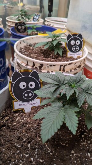 8237863a-1279-4945-91b0-3f787fb8c7f3