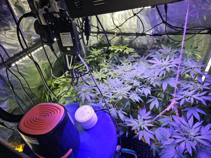 338dfc79-484a-4992-ad78-0da9811b139f