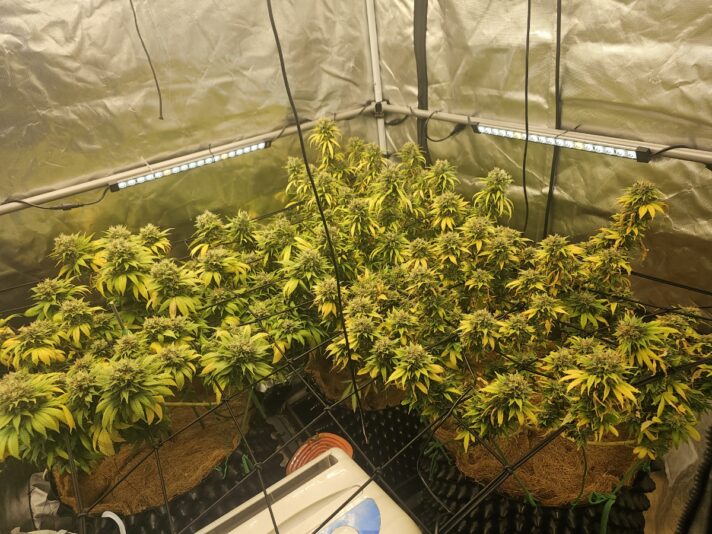 69a8f574-a095-48b6-8981-10070b733782