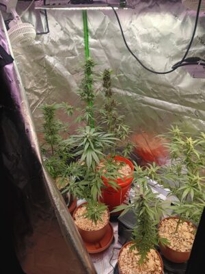 0aa8a750-4e26-4257-8652-0077b65907a5