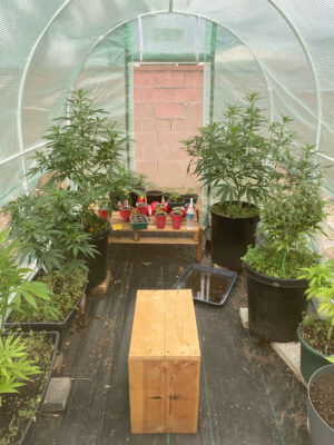 606FB1D7-2F1F-4299-ABDC-9DC1DBE5A714