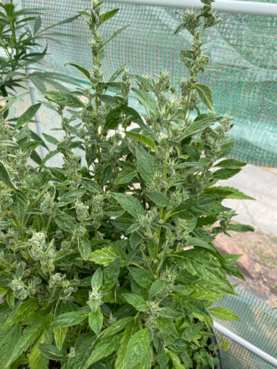 71268B10-DC3C-4509-A0C9-59DF9AC026D5