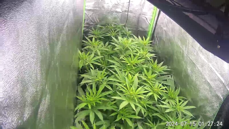 6a0e8695-096b-4695-bfbe-9d2efd1b4c63