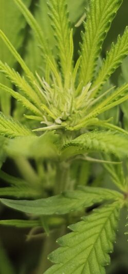 b189c261-ceca-41a6-a0fe-a1776bf2724f