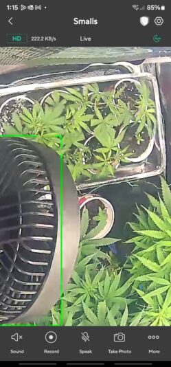 63c60c4b-d05a-4fc9-baae-27b77a75f2fc