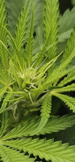 f68f8393-d2c9-4dcd-b213-4a120e57a9e2