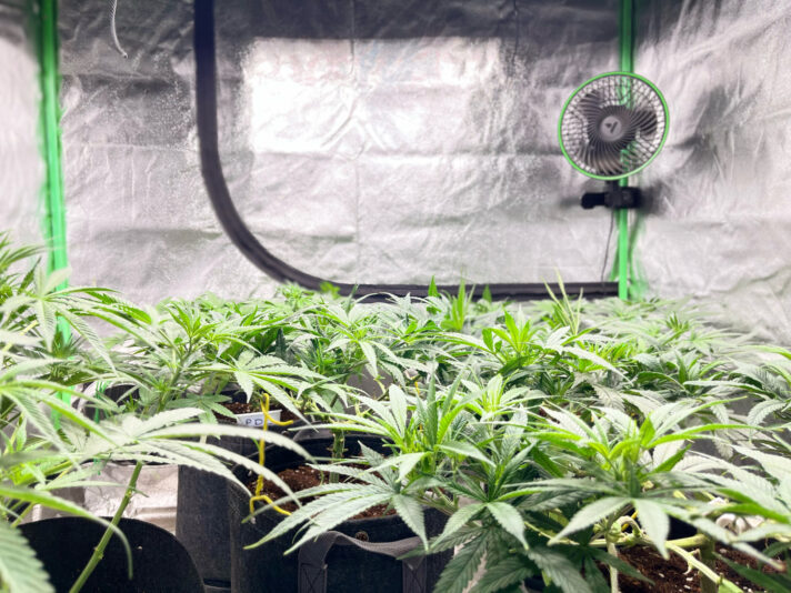 349F25ED-E7A5-4EF7-B5EE-3C199542B40A