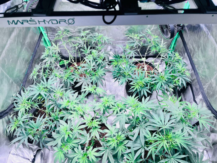 45F79F7F-506A-4EC9-BFDF-BCDBEA777191