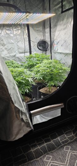 9f804c82-cce6-4dae-aaf9-5e8f8232686c