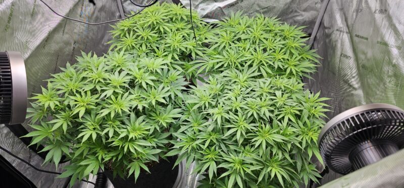 eb9b8618-d88c-4954-928f-a296cb580fc4