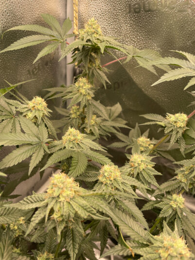 E5845A53-B59F-4792-AC4B-915C576D6088