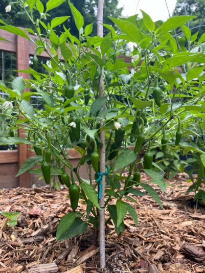 6CA3D3C4-C5D4-4B22-A531-FC04401D18FA