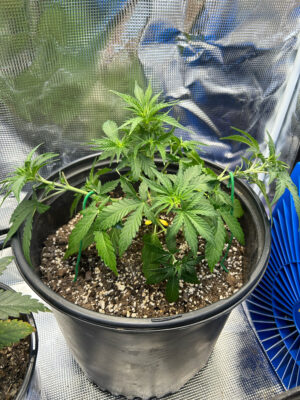 291C03BA-3F06-4972-9C77-020C6BD8B803