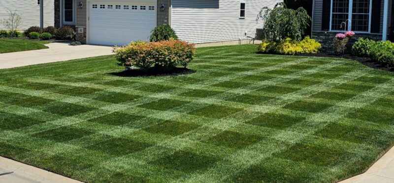 1b3213a6-7b0b-4599-b802-481aaca8c71d