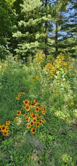 1280231a-0ea5-41f7-a448-52c3333333b9