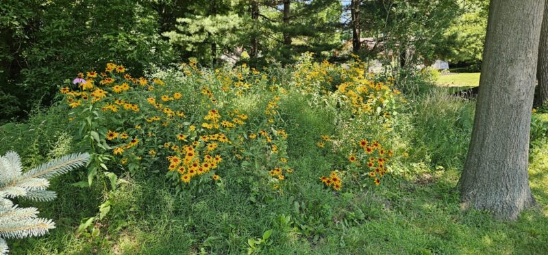 6940b3d3-f970-497f-b00f-99336128a01b