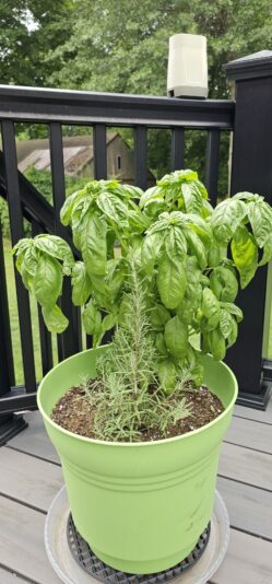 e27c9b75-a859-4bb2-a74b-c4583046f049