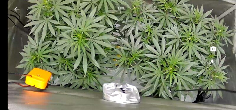 7037c4fb-9bb9-4017-b916-8a80277b9e9d