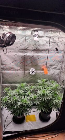 962ba45e-e610-4146-9d04-f71a67e4fd85