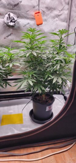 f4ee75c9-4b72-4e93-bfdc-176976fbde44