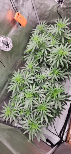 6d668b63-fc2d-4596-a2b9-b91f6ea73922